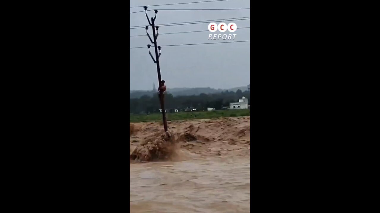 #India #Floods #TonsRiver #Yamuna #Climate #destruction #anomaly #climatecrisis #weather #climatecha