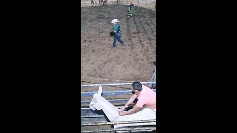 rodeo knockout