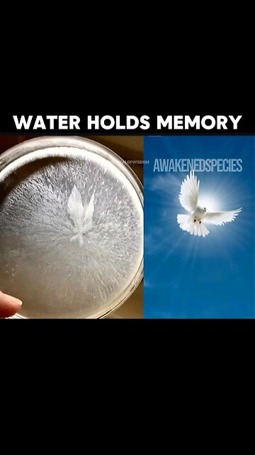 Water Has Memory