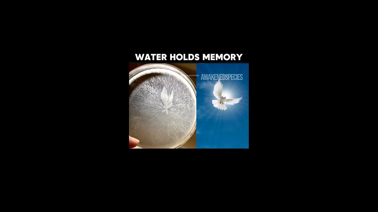 Water Has Memory