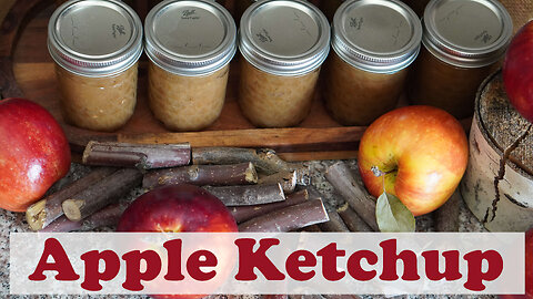 Apple Ketchup Canning Recipe [Fruit Ketchup]