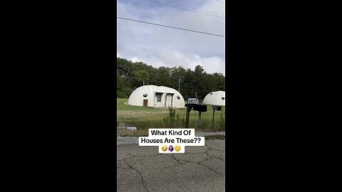 What Are These?? 🤣🤷🏻‍♀️🤔