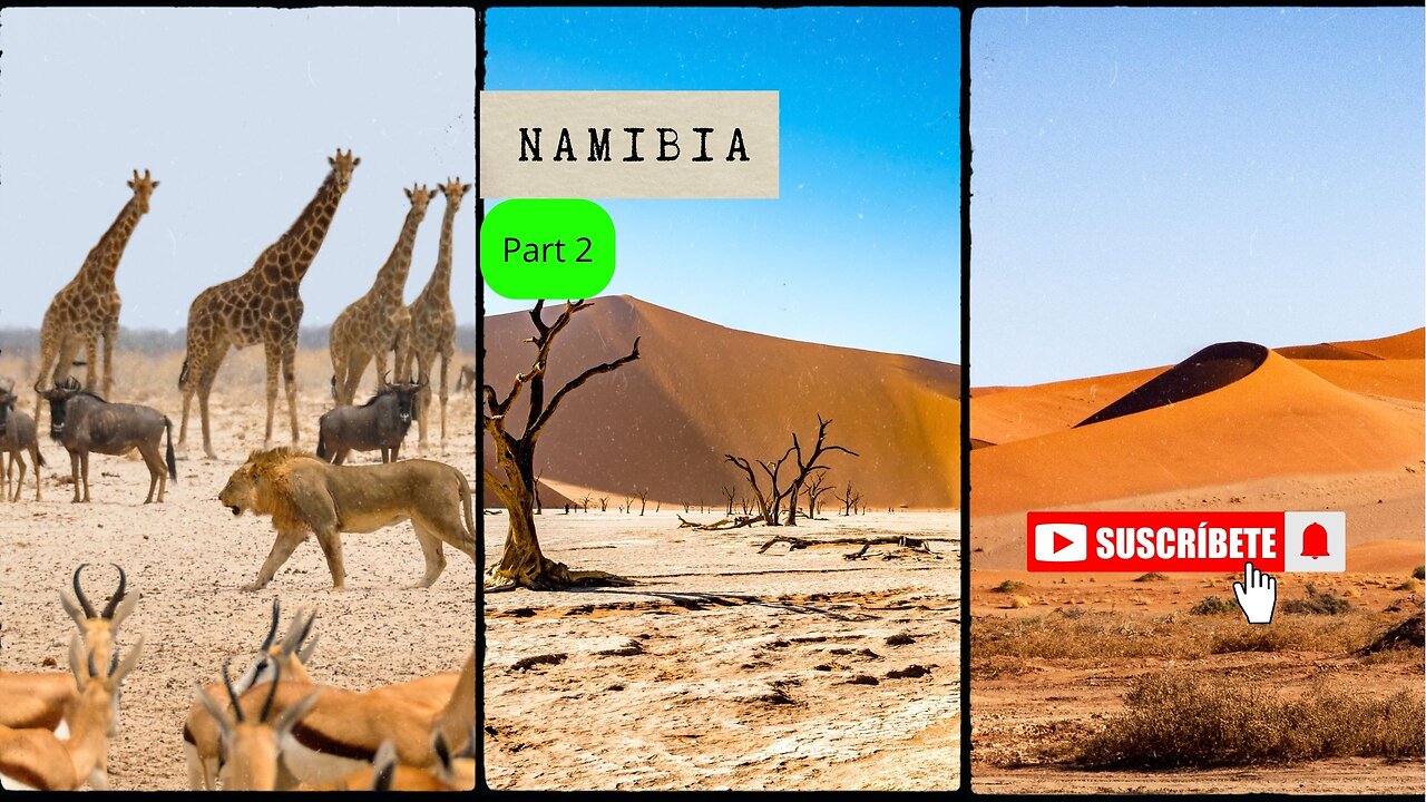 🇳🇦 Namibia: The Most Unique Destination in Africa