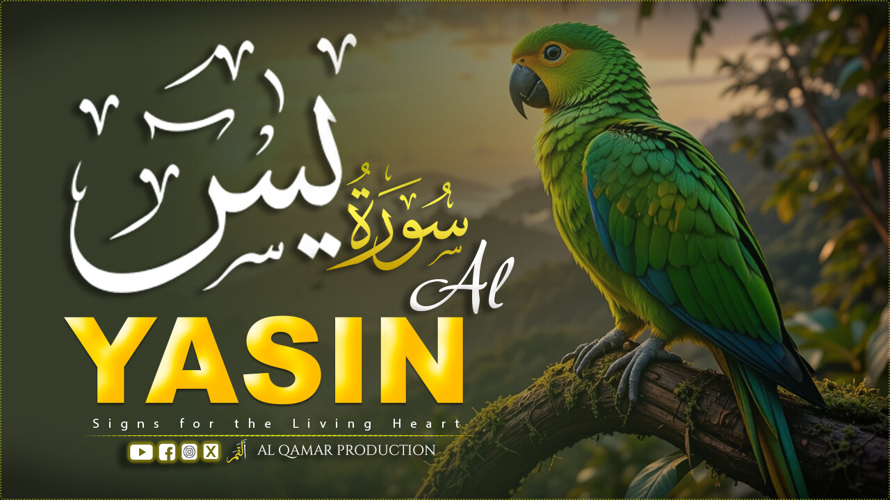 Surah Yaseen 🌿 | The Heart of the Quran | Uplifting & Soul-Soothing Recitation