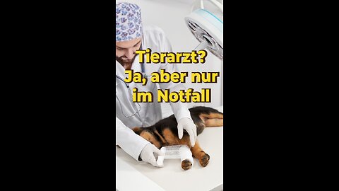 Nur in Notfällen zum Tierarzt!
