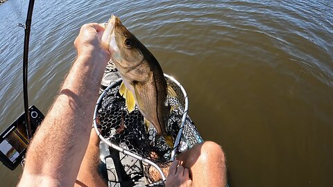 Fishing for Bass and Catching a Freshwater Snook