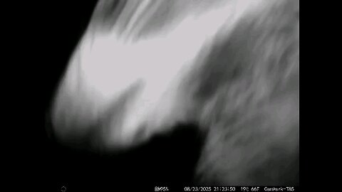 Deer Cam 08 23 2025 Raccoon Close And Insects Bugs Game Cam Trail Cam