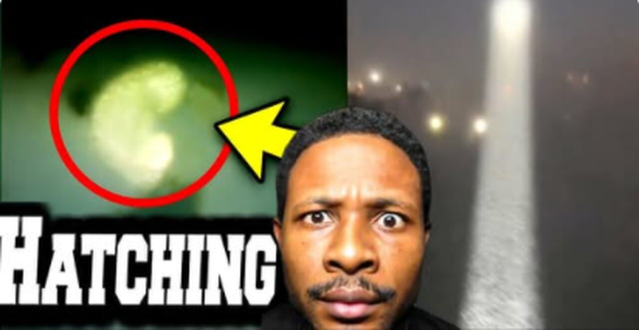 A Living Entity Fell From the Fog—Now It's HATCHING - Jwtv