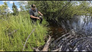 Trapping June 28th-July 4th