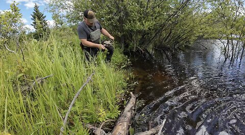 Trapping June 28th-July 4th
