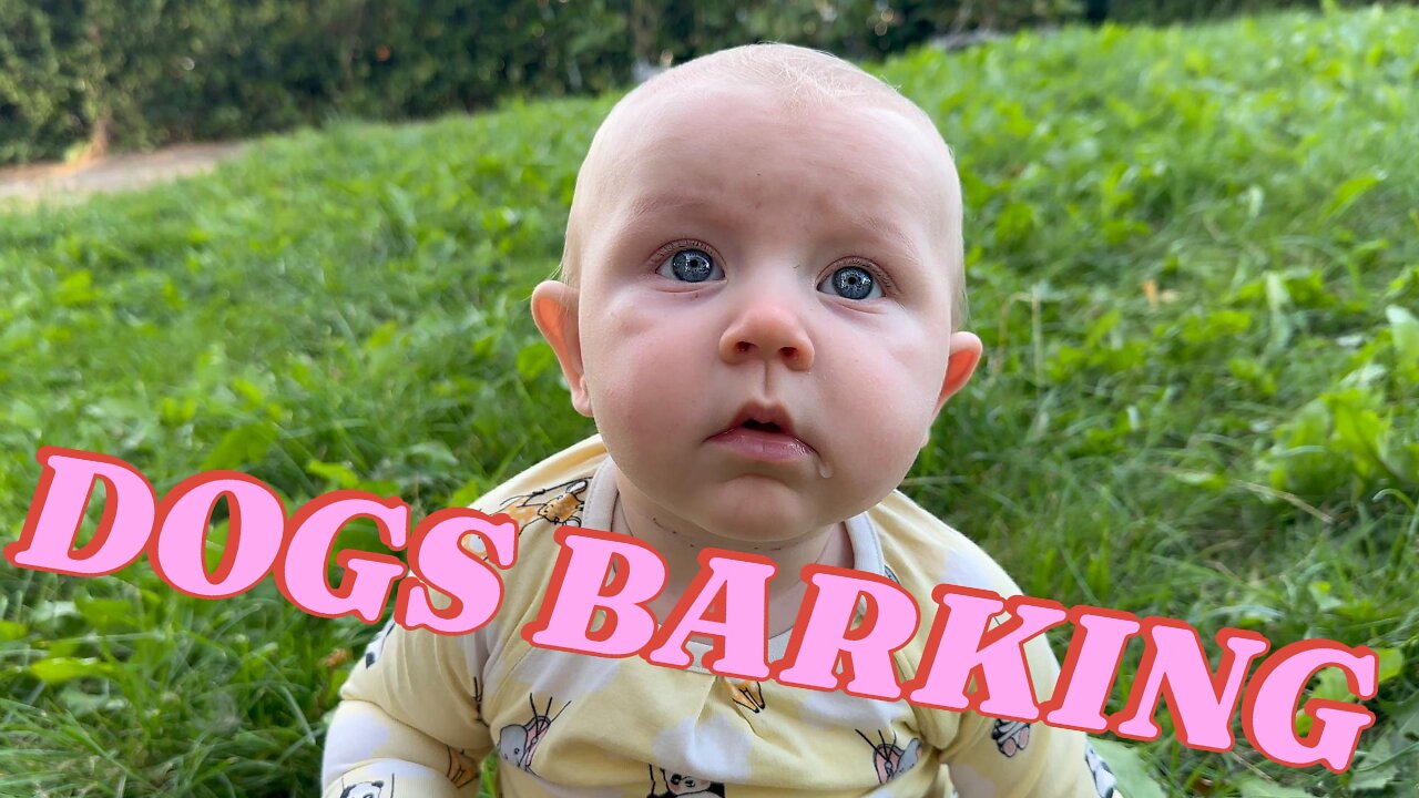 Dad Hilariously Makes Neighbor's Dog Bark NON-STOP! My Funny Reaction