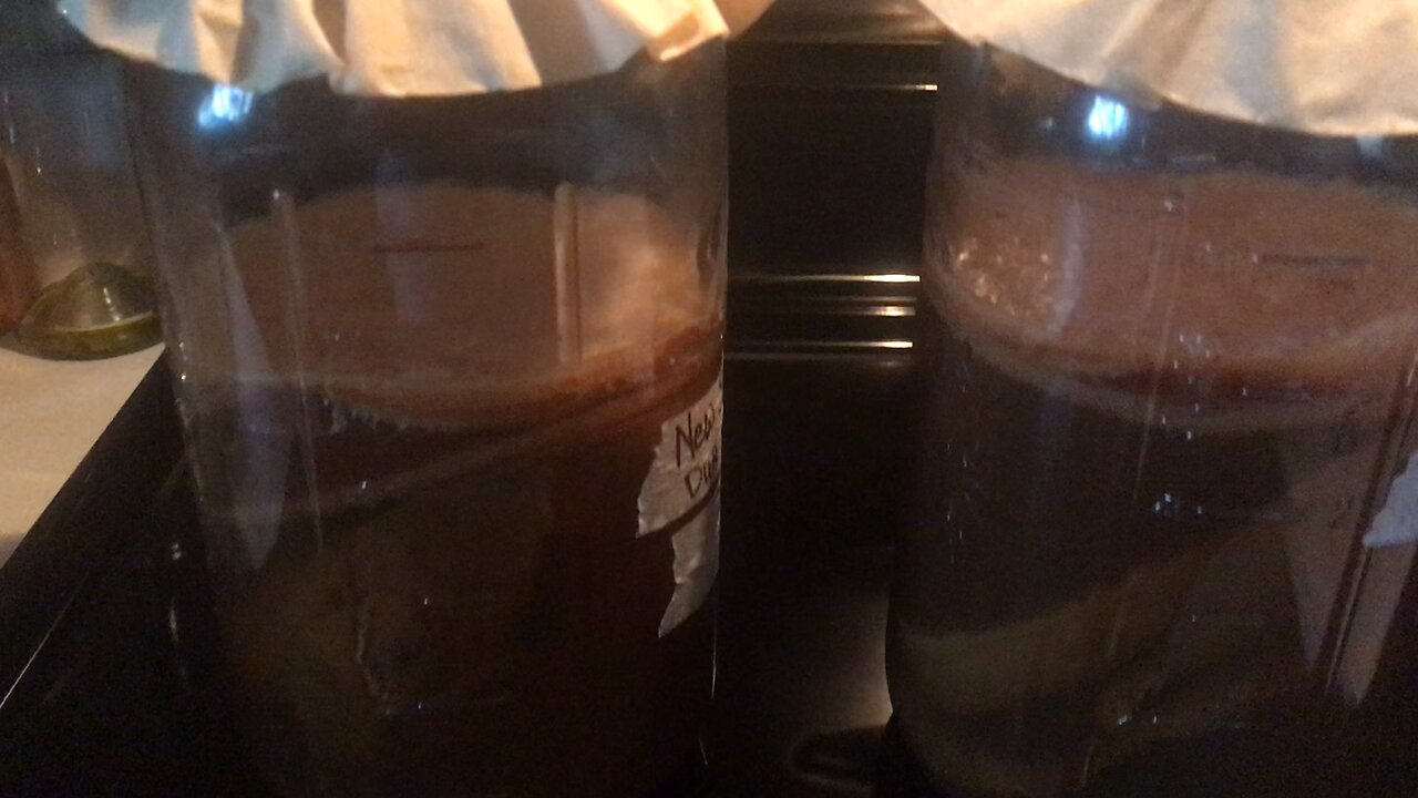 Homemade Kombucha