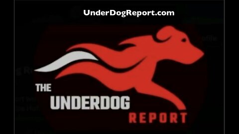 The UnderDog Report
