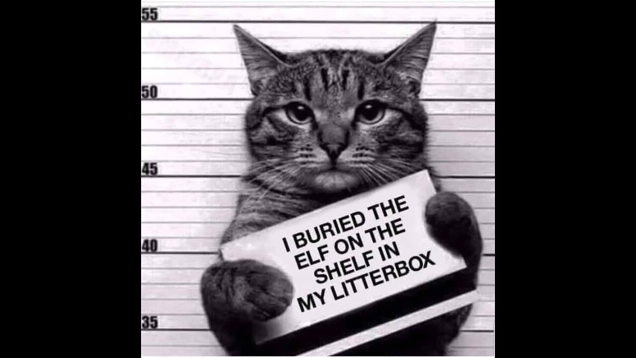 Ai is winding you all up