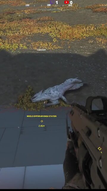 This is why you check your surroundings!