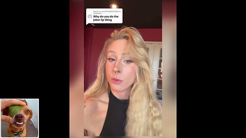 Funny videos compilation 3