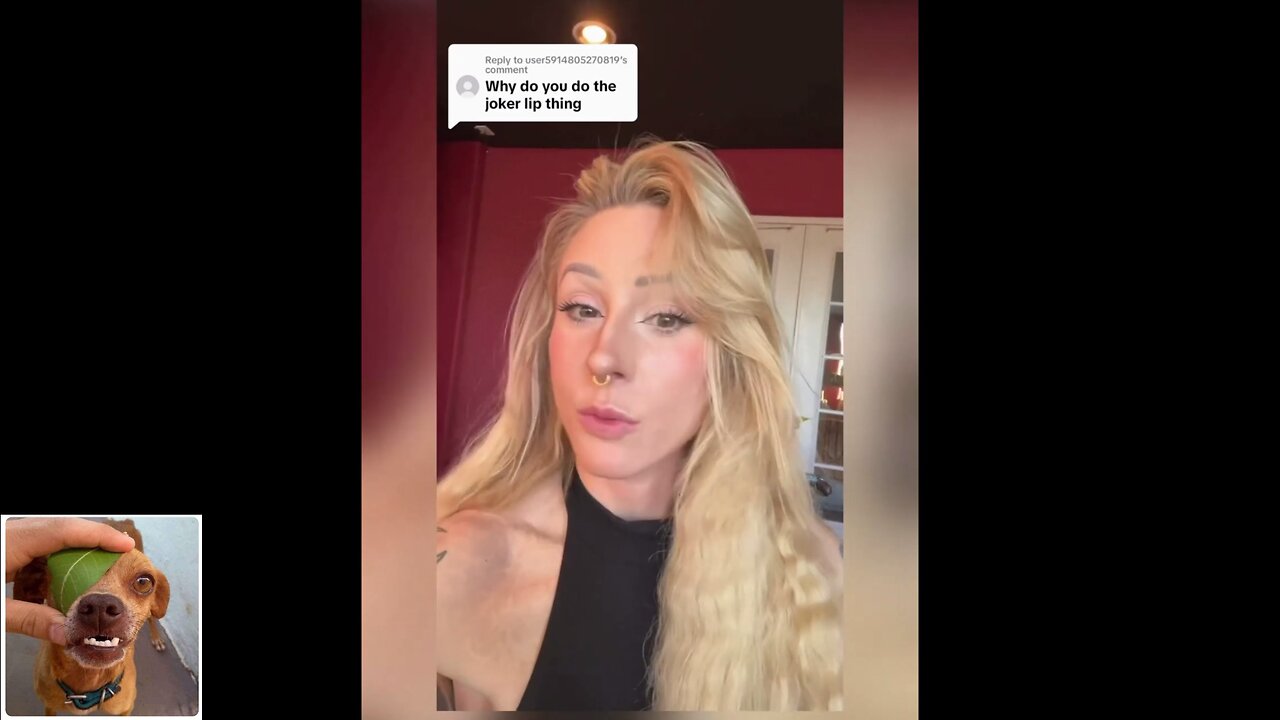 Funny videos compilation 3