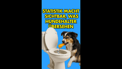 🥸 Statistik macht sichtbar, was Hundehalter übersehen.