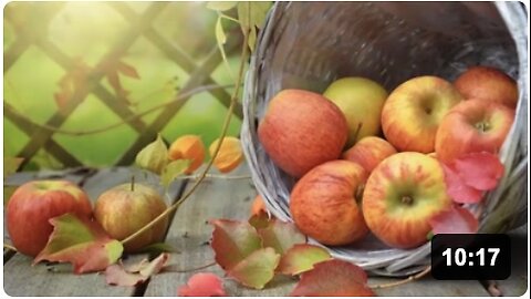 Apples Benefits and Side Effect | Health Benefits of Eating Apples