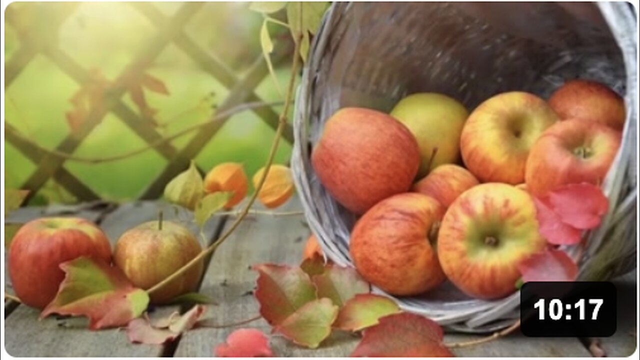 Apples Benefits and Side Effect | Health Benefits of Eating Apples