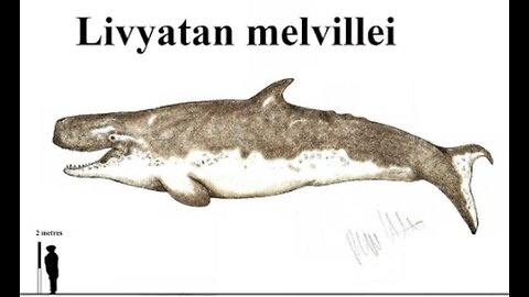 Prehistoric Sea Monster!!!