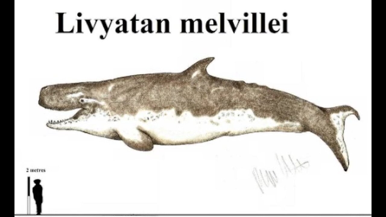 Prehistoric Sea Monster!!!