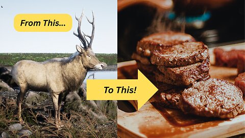 Deer Are No Longer Just Targets – They’re Dinner