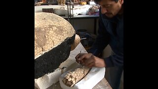 Hallan en Argentina un fósil de un armadillo gigante bebé de 10.000 años de antigüedad