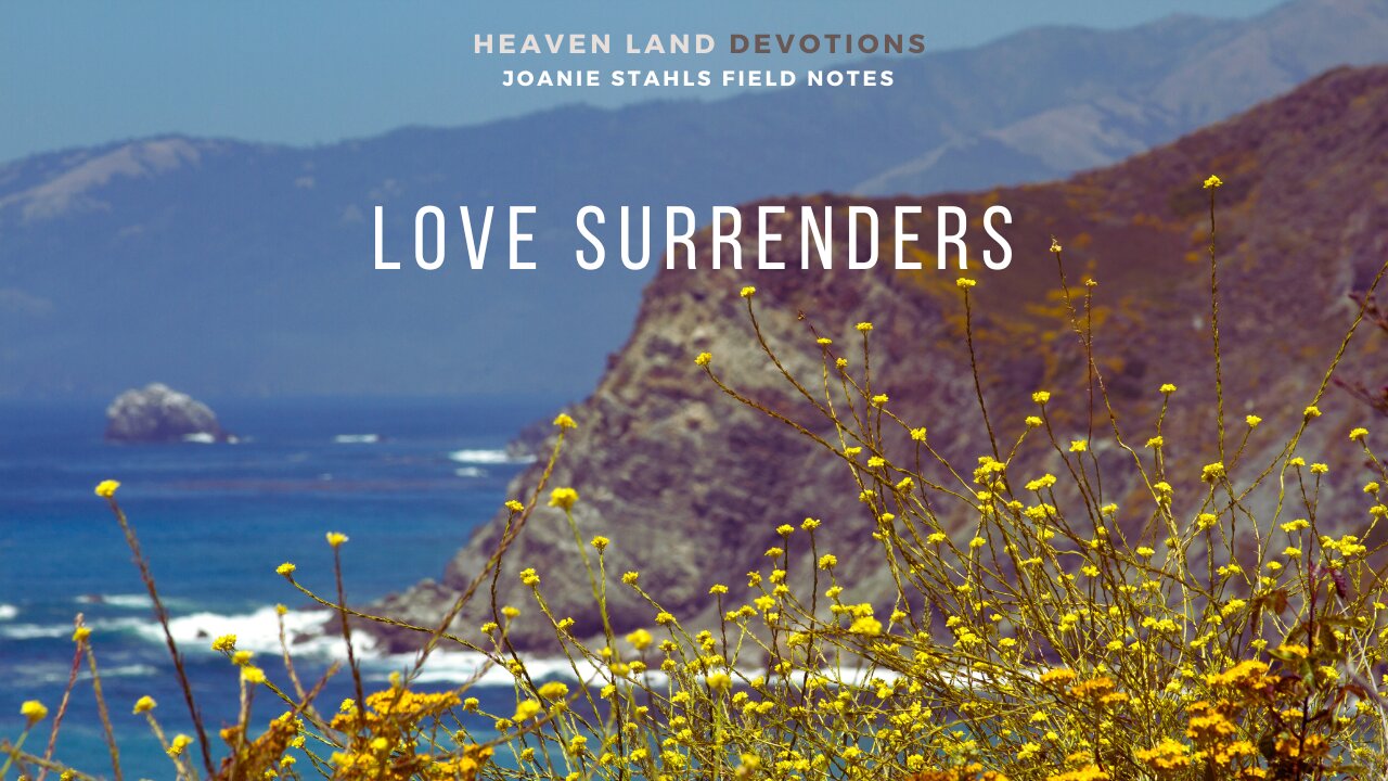 Heaven Land Devotions - Love Surrenders