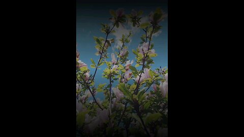 🔥 Surah Al-Mu’minun 23:111–114 سورة المؤمنون 🌌💭 #Quran #Afterlife #Purpose #islamicshorts #viral