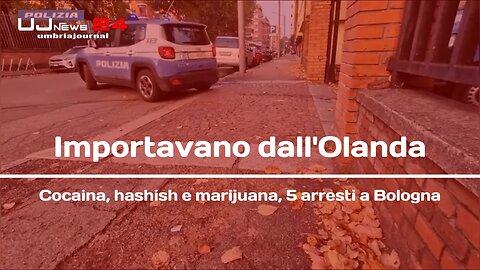 Importavano dall'Olanda Cocaina, hashish e marijuana, 5 arresti a Bologna