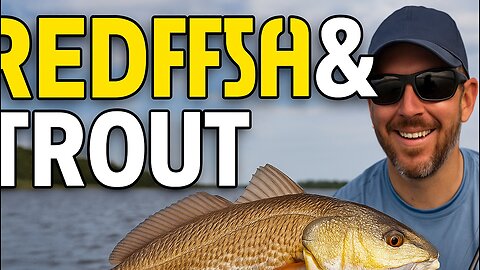 Redfish and Speckled Trout