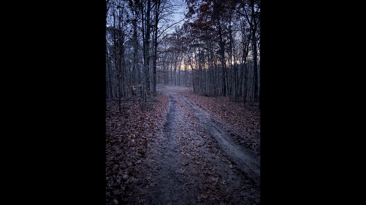Buck Chasing a Doe. Hunting in Missouri.