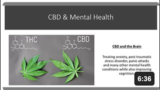 CBD and blood flow in the brain - ptsd, anxiety, depression, addiction, mental illness, cognition, nootropic effect