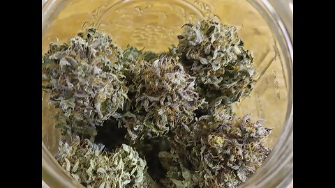 Curing Mimosa Cake day 1