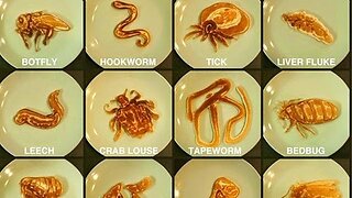 What do we call parasites?