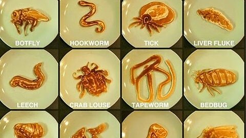 What do we call parasites?