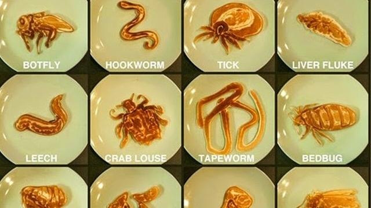 What do we call parasites?