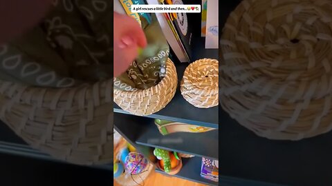 Птица чуть не замерзла от резких морозов, но девушка ее спасла