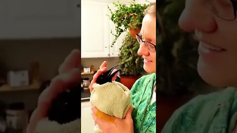 The raven was attacked by a falcon and the girl saved her