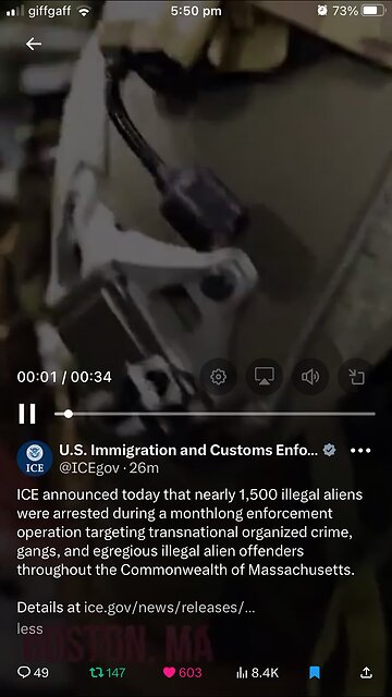 US Immigration and Custom Enforcement ( ICE)