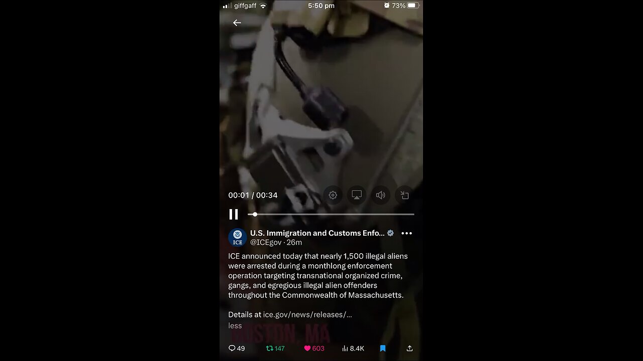 US Immigration and Custom Enforcement ( ICE)