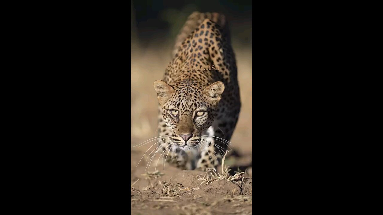 targeting something serious
