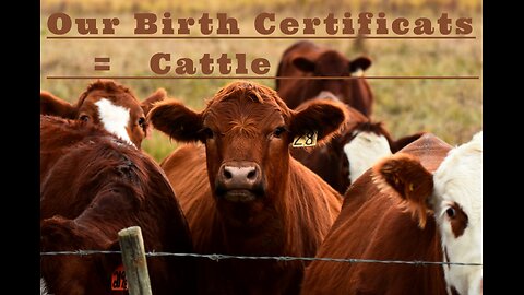 Our Birth Certificates = Cattle !!!!
