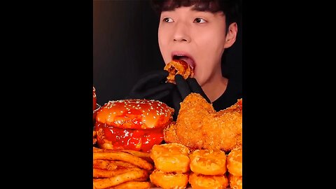 Chicken burger +fried chicken