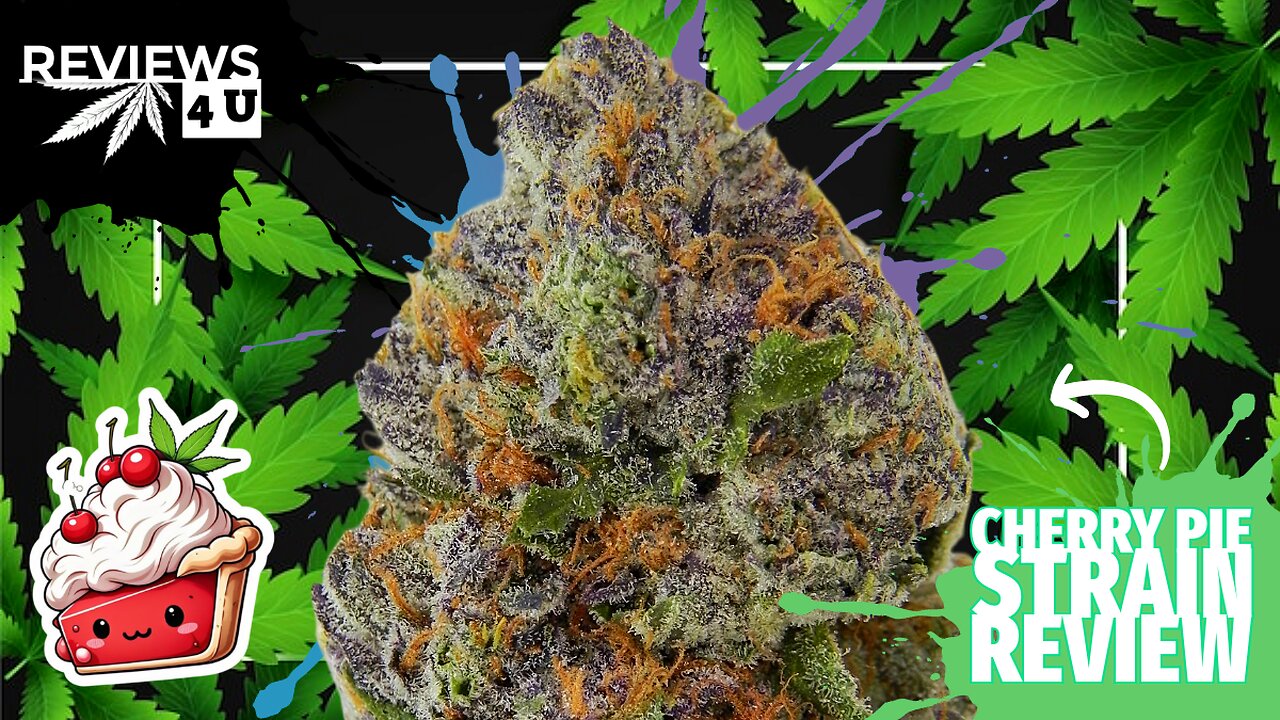 CHERRY PIE 🍒 🥧 (STRAIN REVIEW) | REVIEWS 4 U