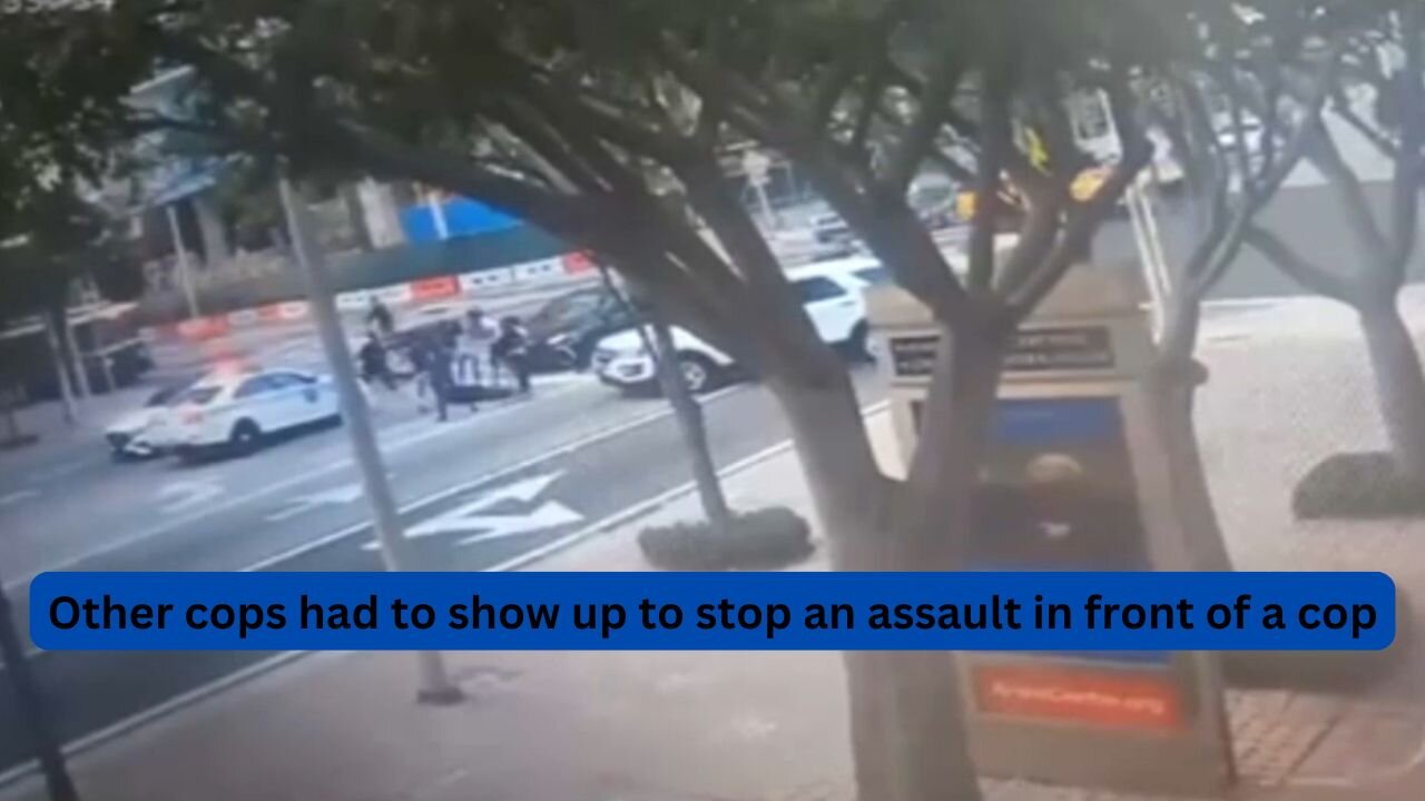 Man and his car beaten in front of Miami cop by a group of criminals