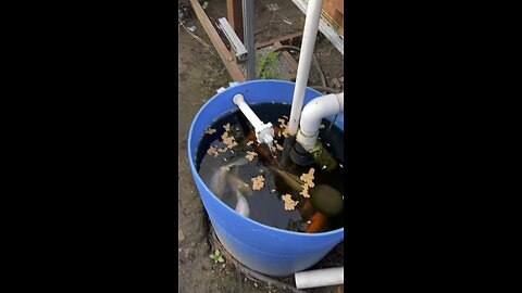Aquaponics