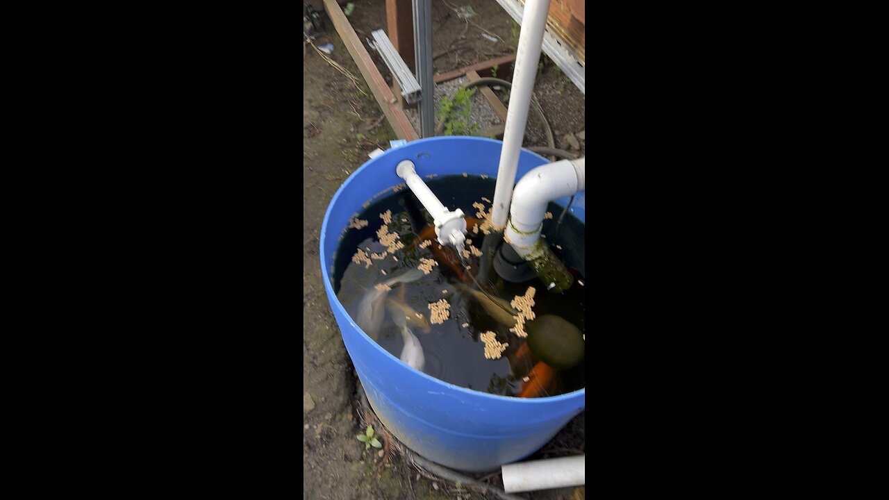 Aquaponics