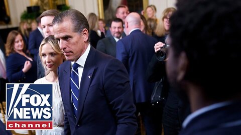 Hunter Biden ROASTED over 'crazy' White House, Dem claims